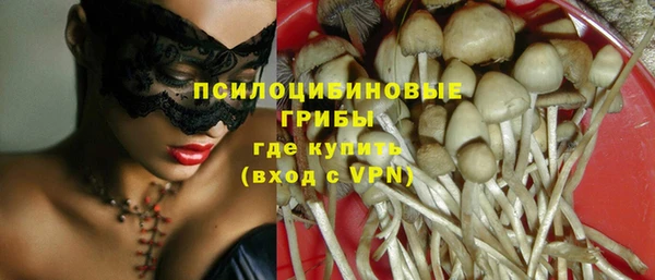 дживик Армянск